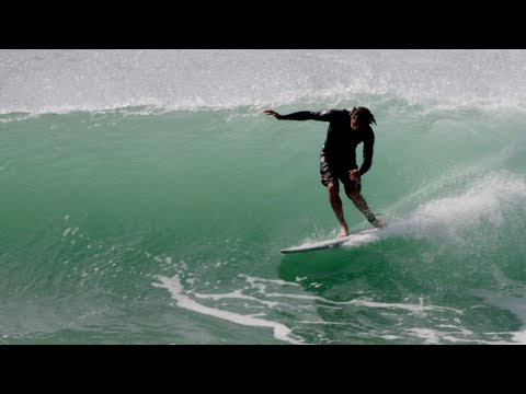 Joel Fitzgerald studying the movements of Dolphins