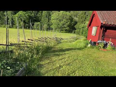 ”Visa vid vindens ängar”. Swedish summer classic performed by Nova Myhrman