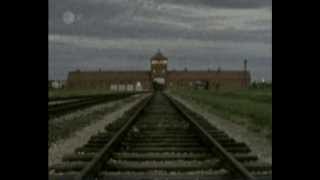 preview picture of video 'Auschwitz Birkenau...'