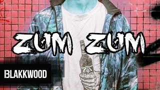 Protiva - Zum Zum (prod. Protiva) (clean verze)