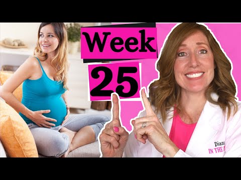 25 Weeks Pregnant and What to Expect | 25 Weeks Pregnant in Months Plus 25 week ultrasound.