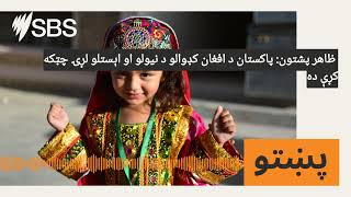 ظاهر پشتون: پاکستان د افغان کډوالو د نیولو او اېستلو لړۍ چټکه کړې ده | SBS Pashto - اس بي اس پښتو