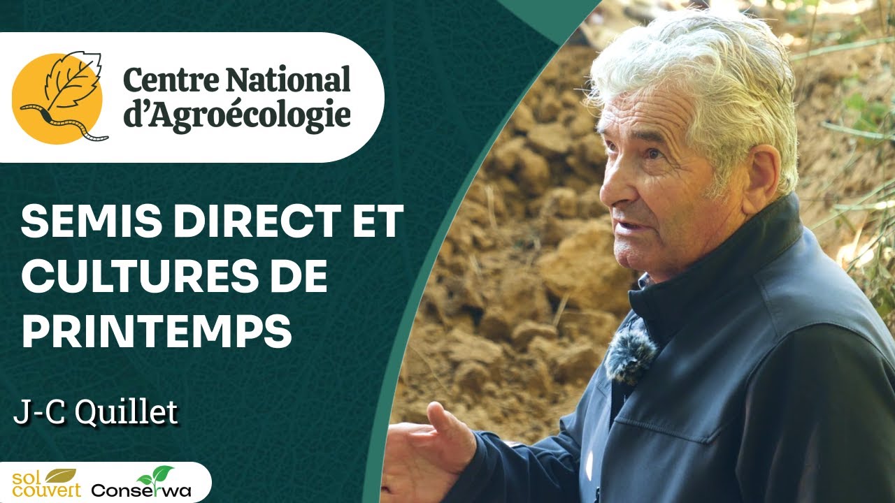 Cultures de printemps en semis direct, JC Quillet - Journée Séguy 2024 - CNA