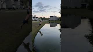 These Gators can’t guard me😤🏈 #football #trickshot #catch #throw #alligator #pond