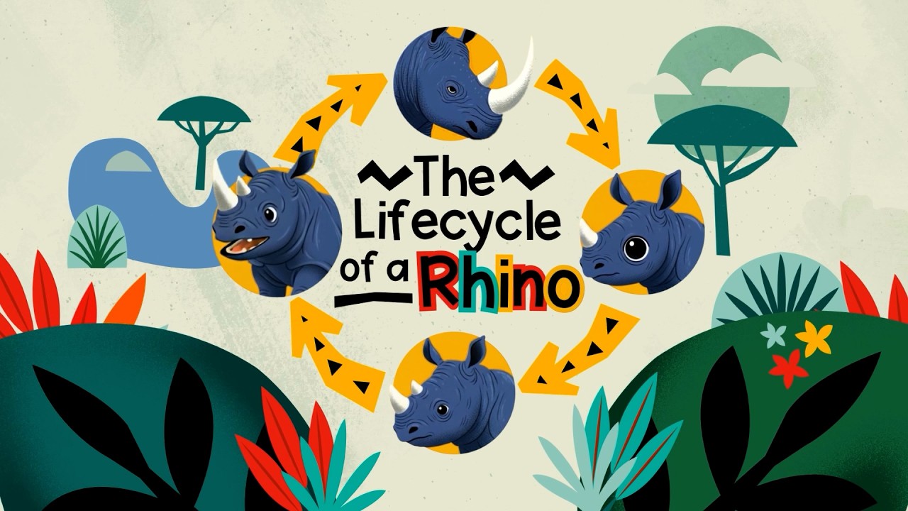 Lifecycle of a Rhino