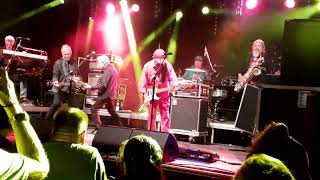 Spider Murphy Gang - Skandal im Sperrbezirk  (Olching 28.07.23)