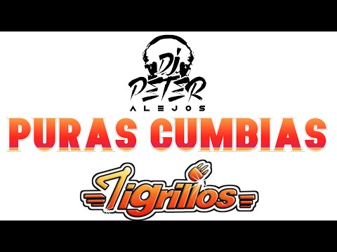 PURAS CUMBIAS DE TIGRILLOS