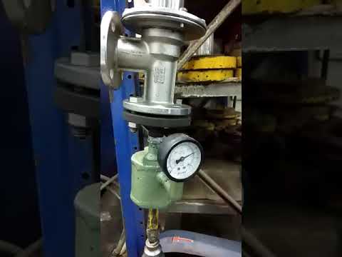 Pressure Safety Relief Valve