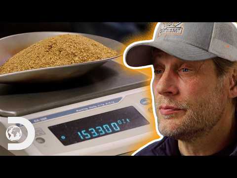 $383,000 In Gold PROVES Shawn's Deep Land Mine Strategy Is Working | Gold Divers