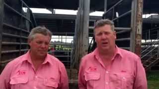 preview picture of video 'Ecmlivestock cattle mkt 4/1/15 live from Moss Vale'