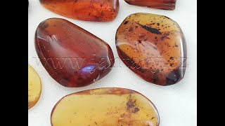  Křídový jantar SJ-14