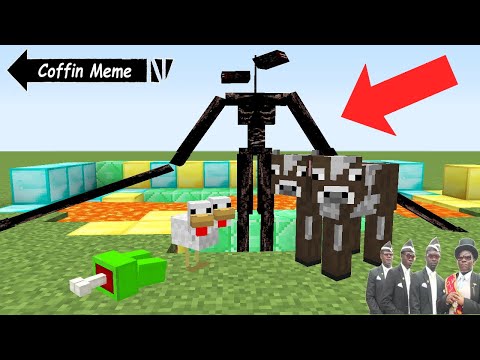 Coffin Meme Lucky but Cursed Among Us in Minecraft