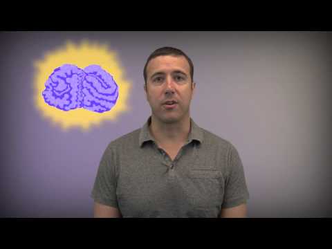 Principles of fMRI Part 1, Module 19: Model Building III- nuisance variables