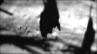 Elodie @ Tusk Festival 2014