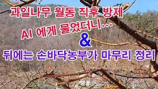 과일나무 월동 후 방제를 AI에게 물었더니... 뒤에는 손바닥농부가 마무리 정리 (과수 재배, 과수 병충해 …