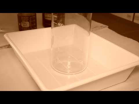 Medimeisterschaften 2016 Magdeburg - MagdeBurger - Teaser