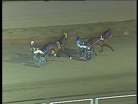 Trotto 02/02/2018 - prova di qualifica