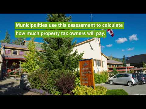 How do property value assessments affect your municipal taxes?