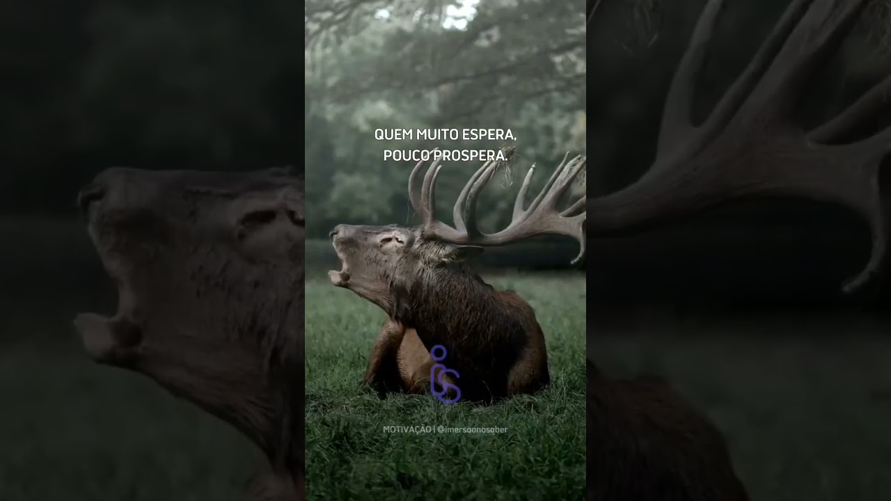 #reflexão #frases #motivação #inspiração #positividade