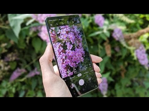 Honor 50 Camera Test 🔥🔥