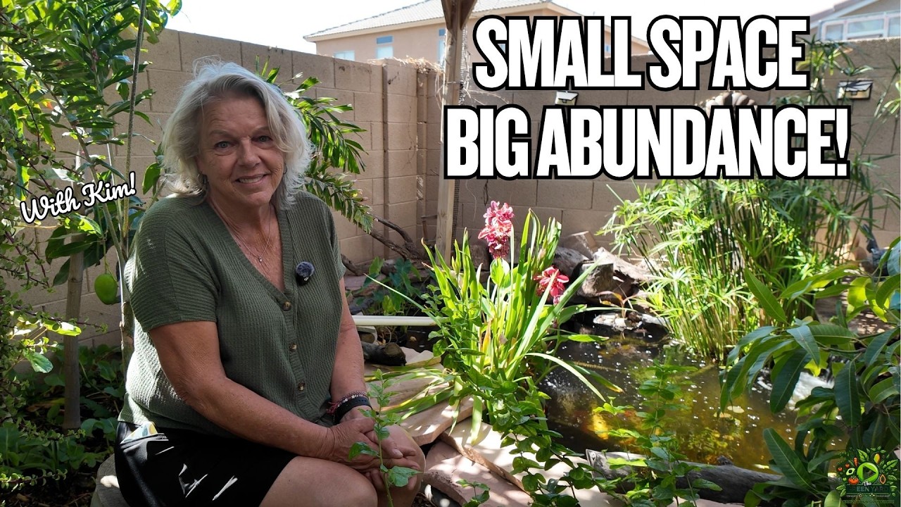 Kim’s small Phoenix backyard food forest with 24 fruit trees