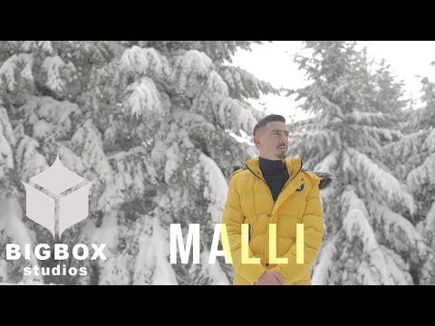 Ar WoLF - MALLI