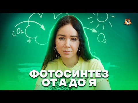 Фотосинтез от А до Я | Биология ЕГЭ 2023 | Умскул