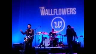 The  Wallflowers .  Paramount  Theatre. 9/1/16. I&#39;ve  been  delivered.