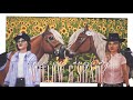 SSO Love Me Anyway With Willow Mistrider
