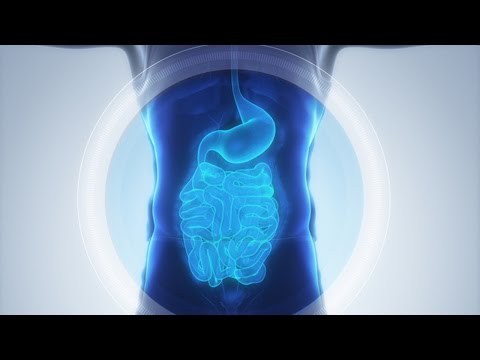 Upper Endoscopy Test EGD SD