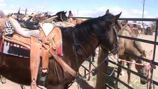 preview picture of video '2013 03 09 CABALGATA FASF COLUMBUS, NM'