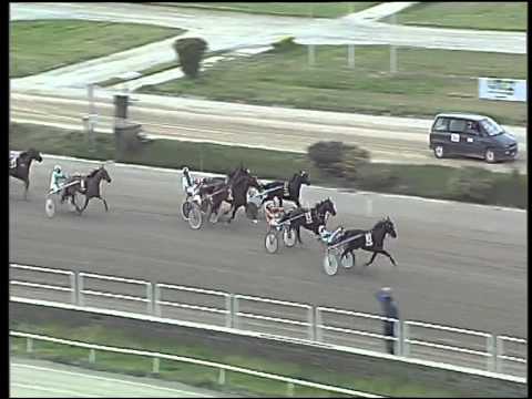 Trotto 02/04/2015 - 8° corsa -TRIS-