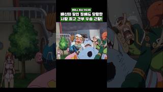 최신화) 배신의 달인 징베도 당황한 사황 최고 간부 우솝 근황! #onepiece #원피스