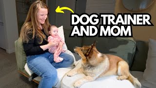 How to Introduce a Dog and Baby: Tips From a Dog Trainer AND Mom