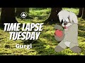 Gurgi The Black Cauldron Time Lapse Tuesday