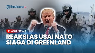 Tak Gentar, Trump Tegaskan Pengerahan Pasukan NATO Tak Ubah Rencana AS Ambil Alih Greenland