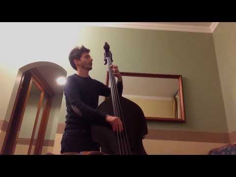 Marco Zenini - After The Gig (Improvisation in E) - solo double bass