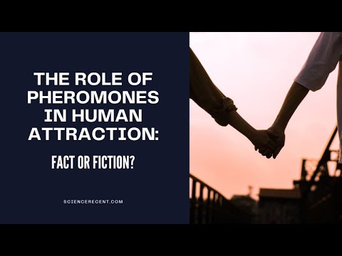 The Role of Pheromones in Human Attraction: Fact or Fiction?
