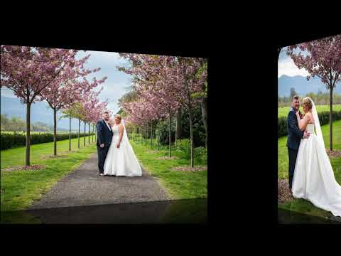 Wedding Photographer, Event Photographer