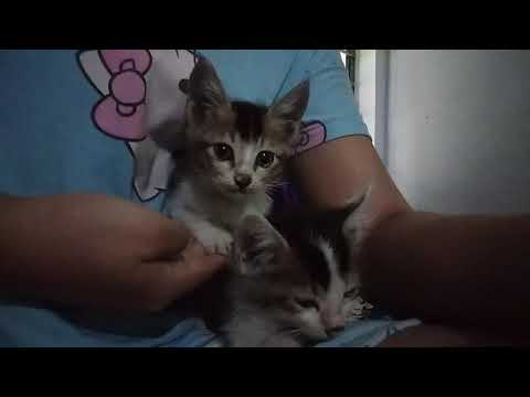 Two cuties😊😍😍