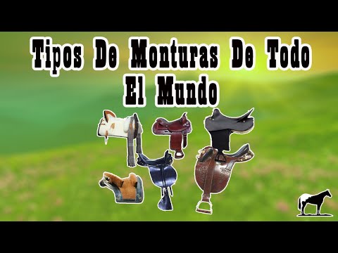 , title : 'Las Mejores Sillas De Montar Del Mundo 🐴-Del Cerro Soy'