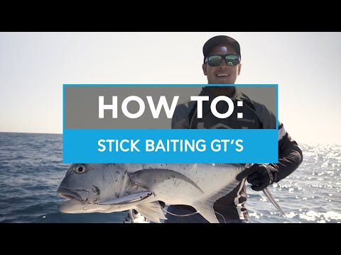 HOW TO: Stick Baiting GT's with Chris Henry