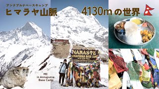 ネパール旅行🇳🇵アンナプルナベースキャンプトレッキング🏔️ #2｜海外ひとり旅｜ABC trekking 6 days｜Nepal vlog ep.2