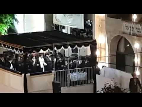 Viznitz - Seret Viznitz Ungvar Wedding in Haifa - Kislev 5783