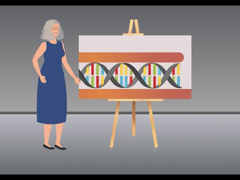 Energy: A Clue to the Origins of Life | Dr Helen Greenwood Hansma