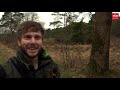 Wolvenspecial | ROEG! 14 maart 2020