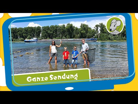 Hallo Benjamin! Abtauchen! Entdeckungen im Wasser