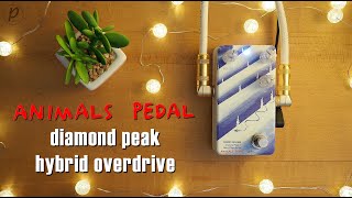 Video thumbnail for Animals Pedal Diamond Peak Hybrid Overdrive by Pedal of the Day
