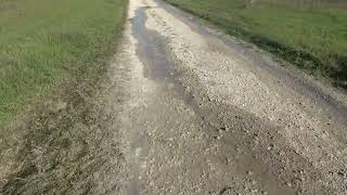 e-lo-spreco-continua-ecco-il-tratturo-di-camporeale-ad-ariano