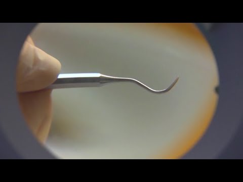 Expedition Beruf - Zahnmedizinische/-r Fachangestellte/-r